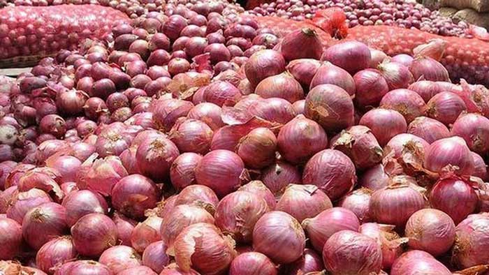 Onion
