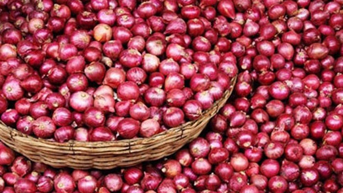 onion-2