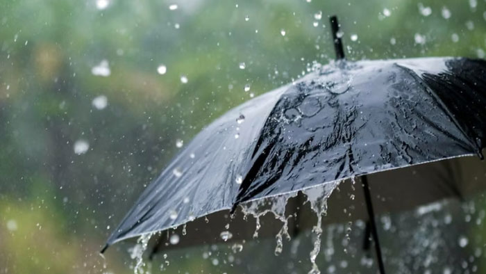 rain-2-2403231434