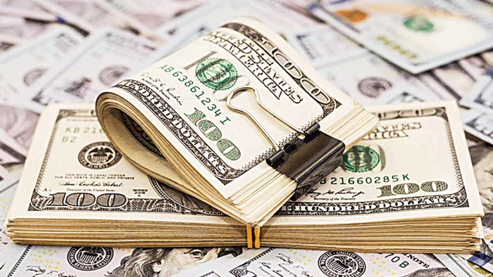 Dollar