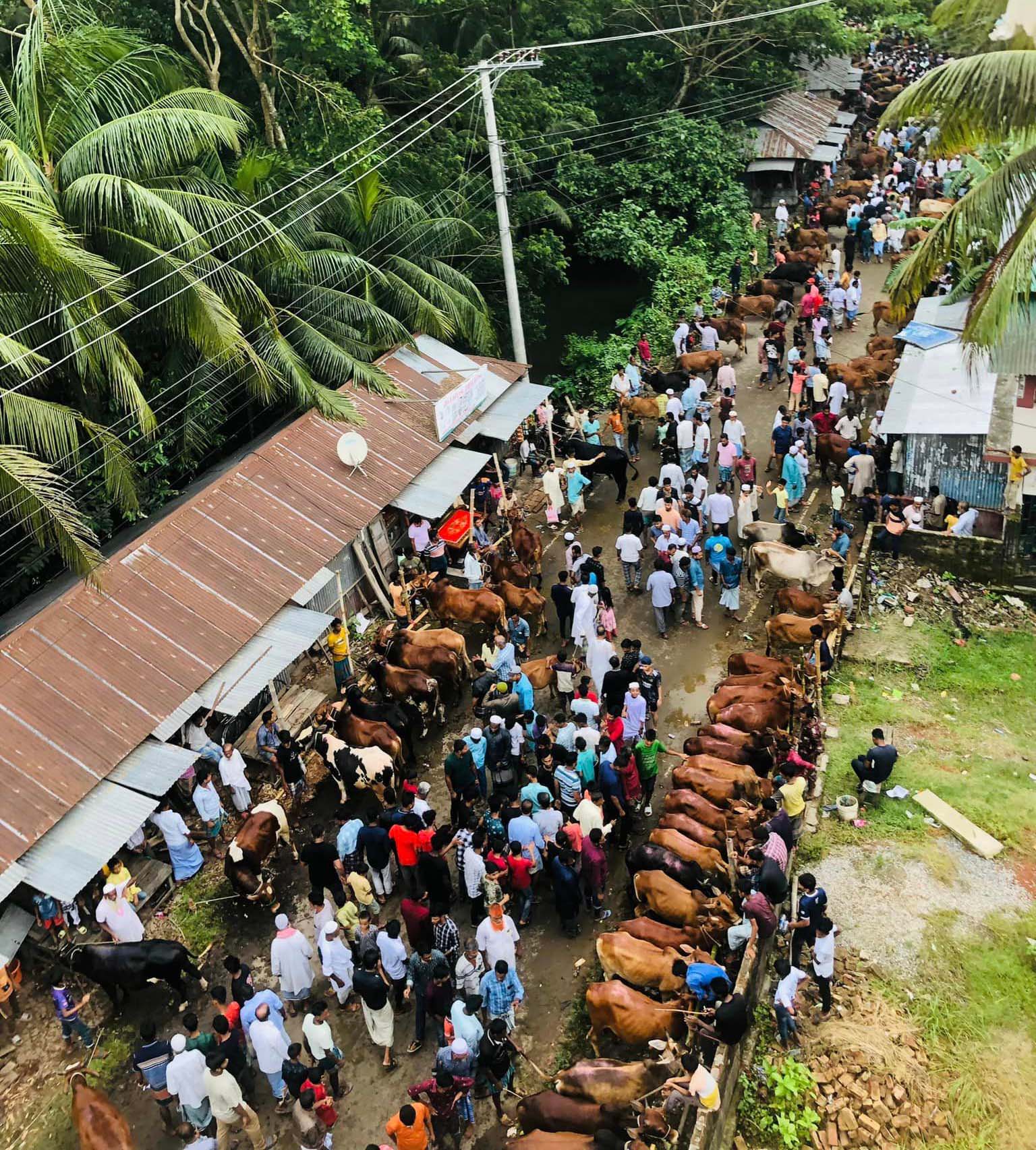 ছবি - সংগ্রহীত - https://dakdiyejai.news