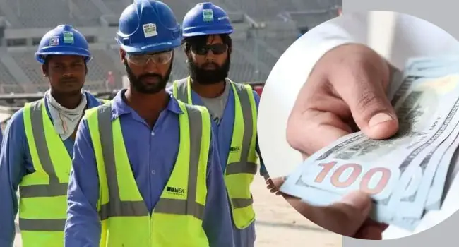 probas dakdiyajai24