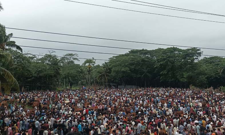 ছবি - সংগ্রহীত - https://dakdiyejai.news