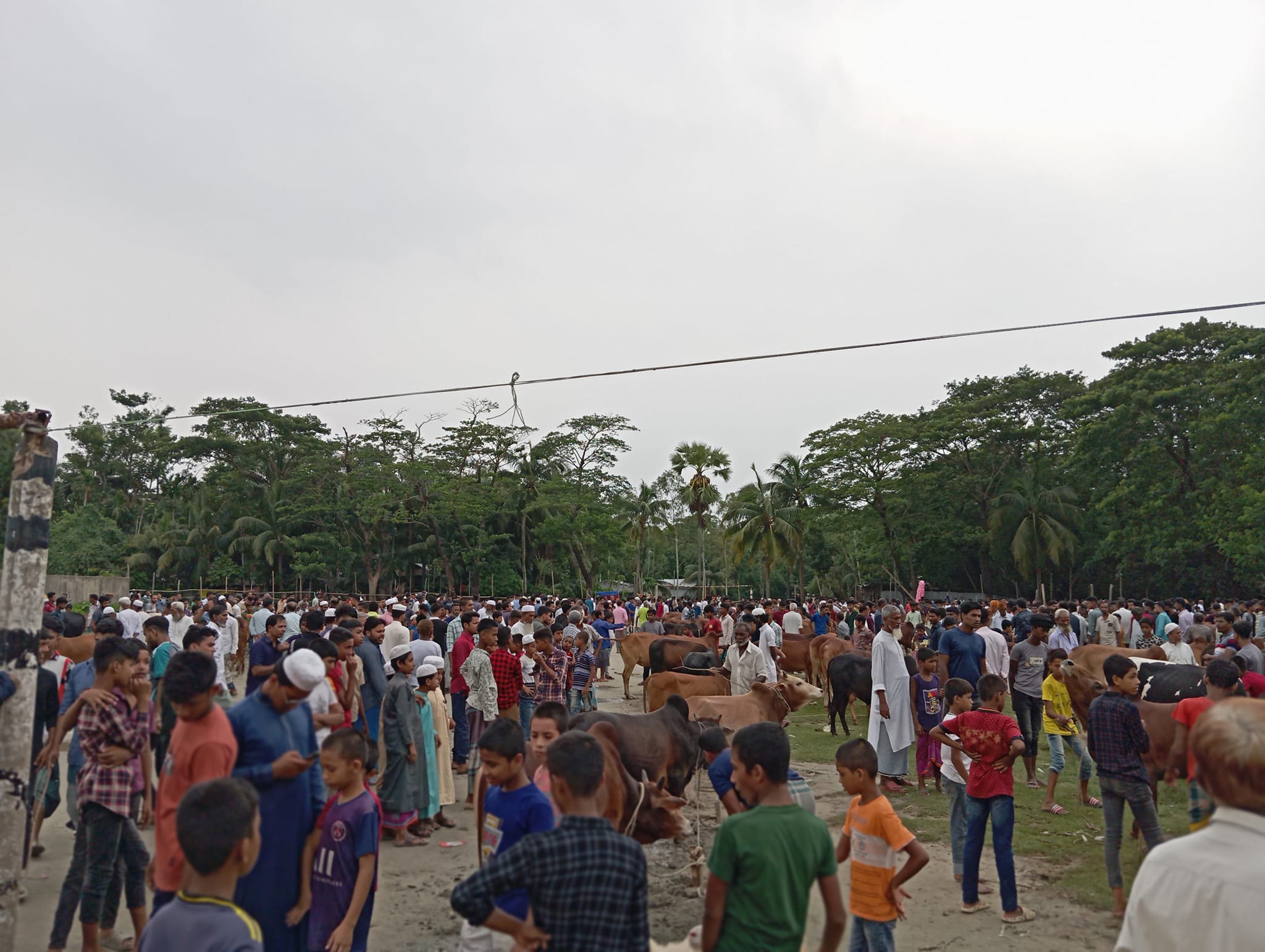 ছবি - সংগ্রহীত - https://dakdiyejai.news
