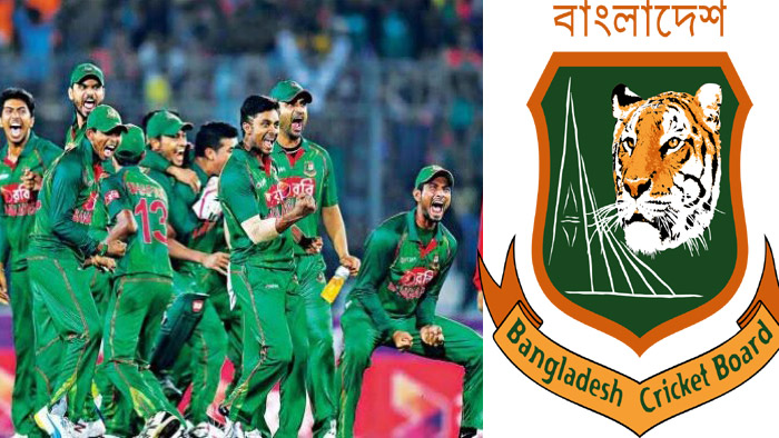 Cricket