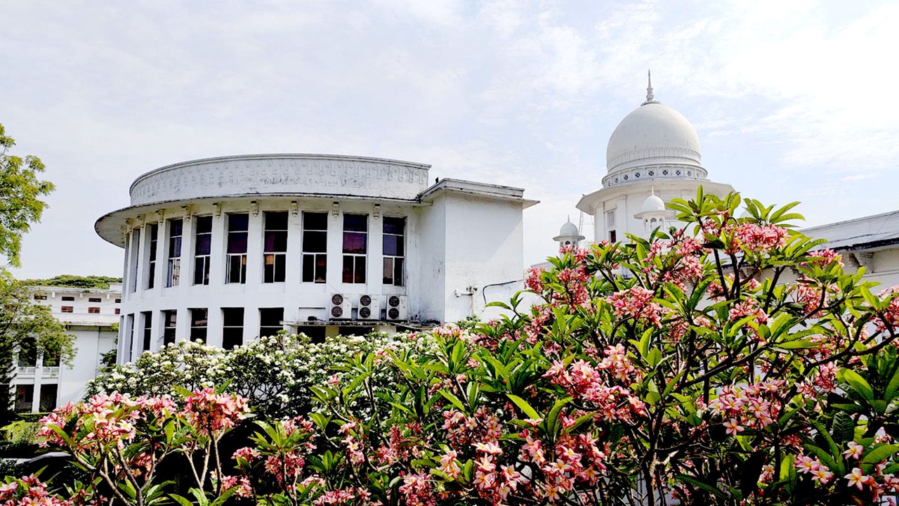court-2