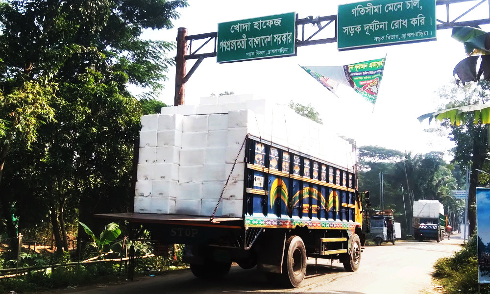 fish export