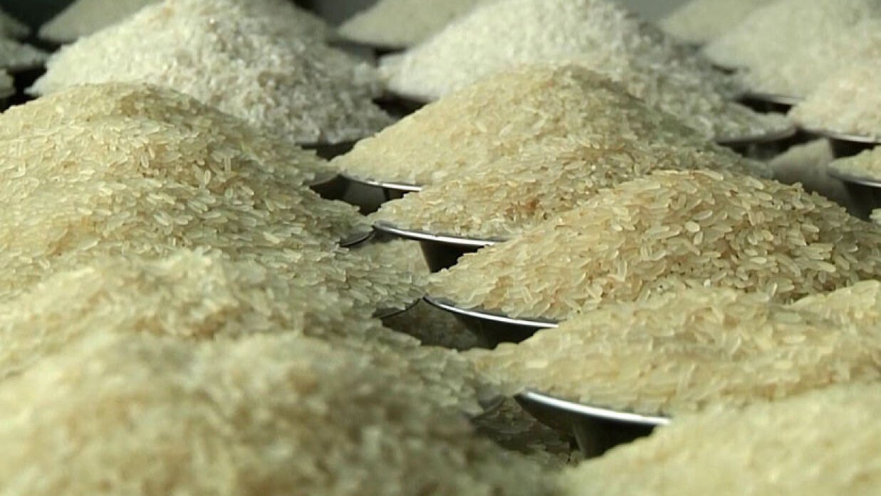 rice