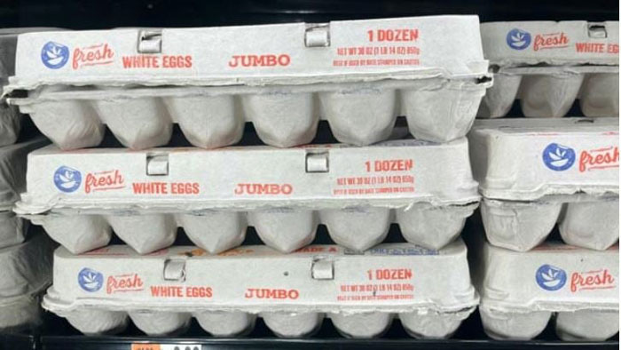 egg-2