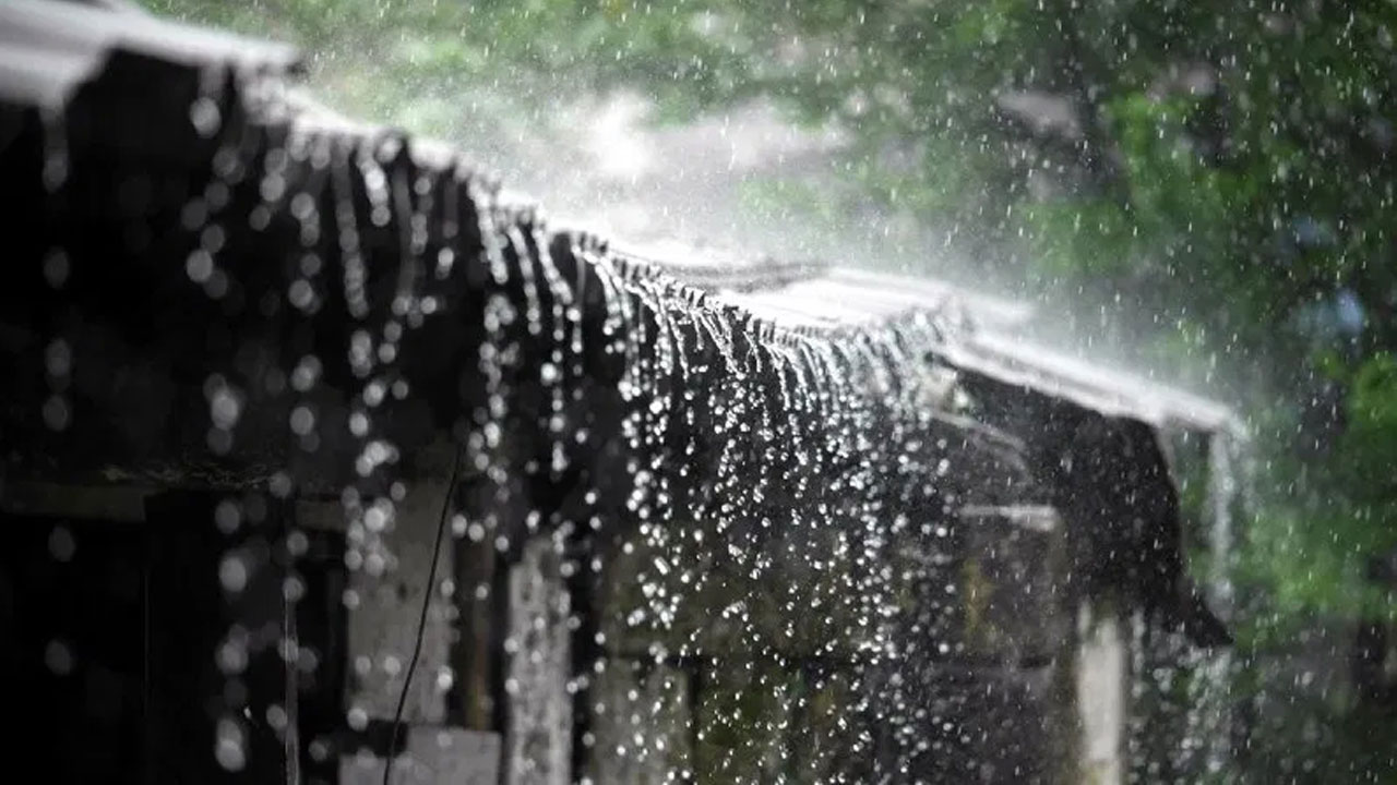 rain