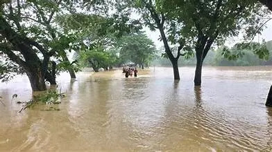 প্লাবিত হতে পারে ১২ জেলার নিম্নাঞ্চল flood